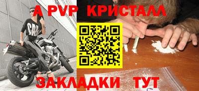 прущие грибы Шелехов