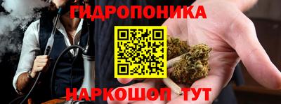 трава Шебекино