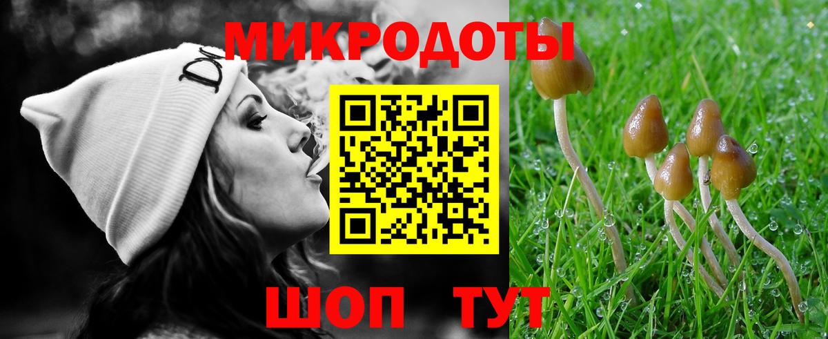 Черняховск  наркошоп  Вход с VPN  Галлюциногенные грибы мицелий 