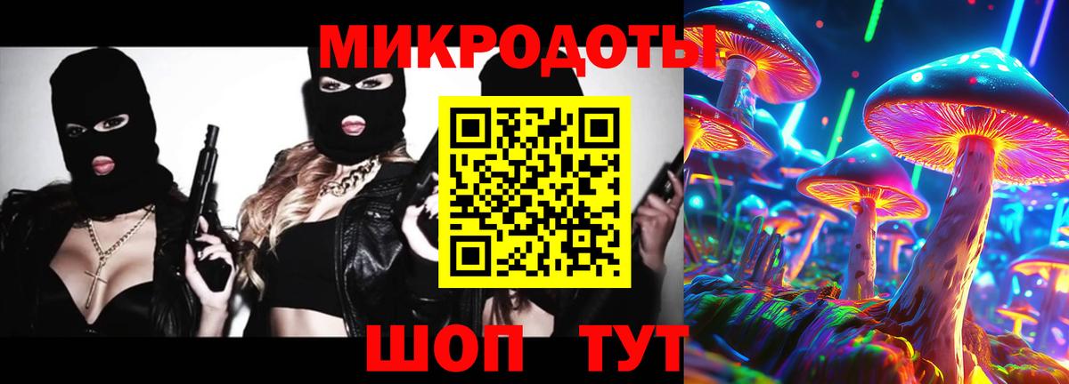 Галлюциногенные грибы Psilocybine cubensis Черняховск